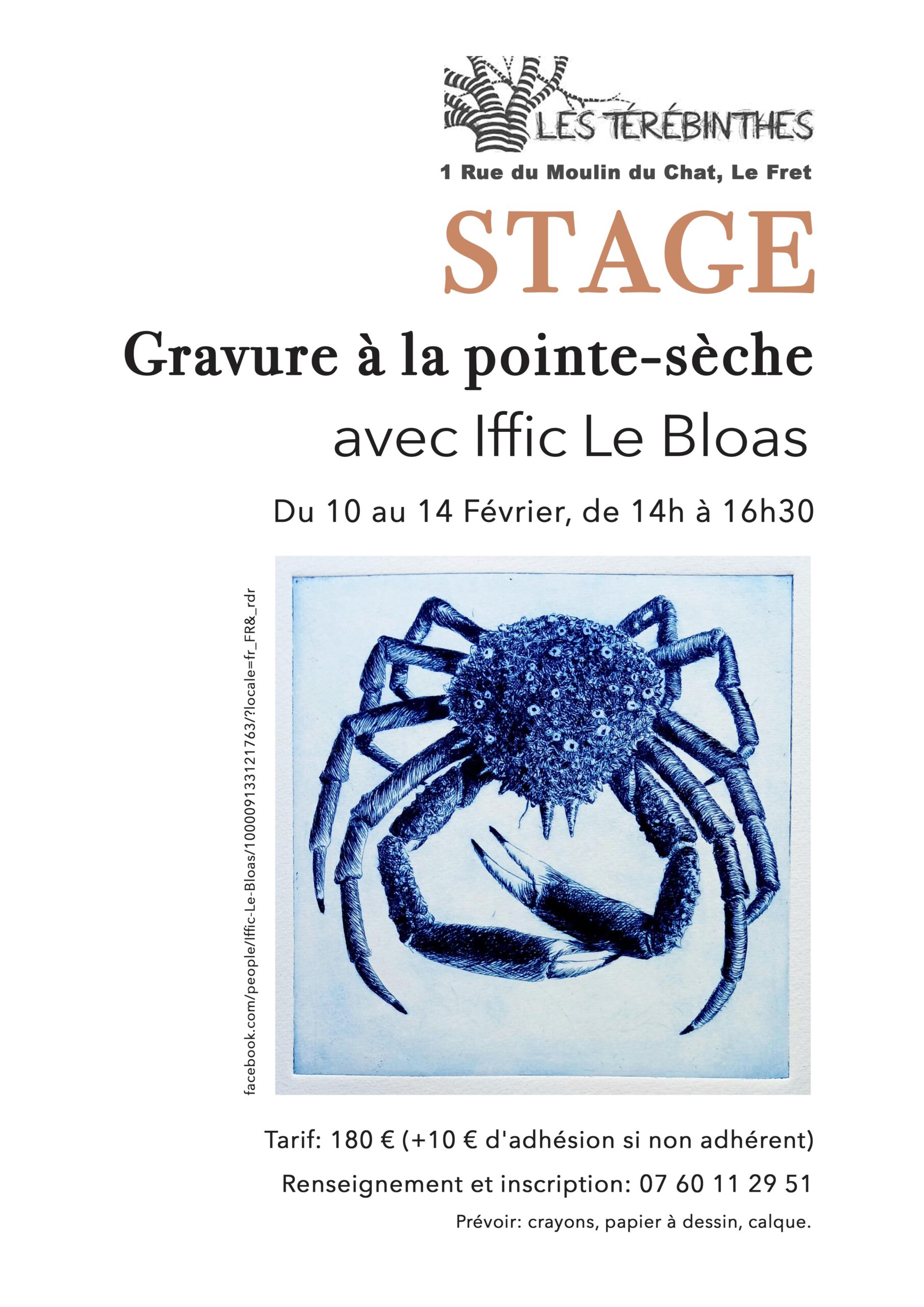 affiche stage Iffic